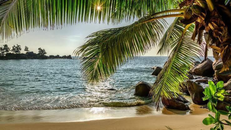 Baga Beach Prime المظهر الخارجي الصورة
